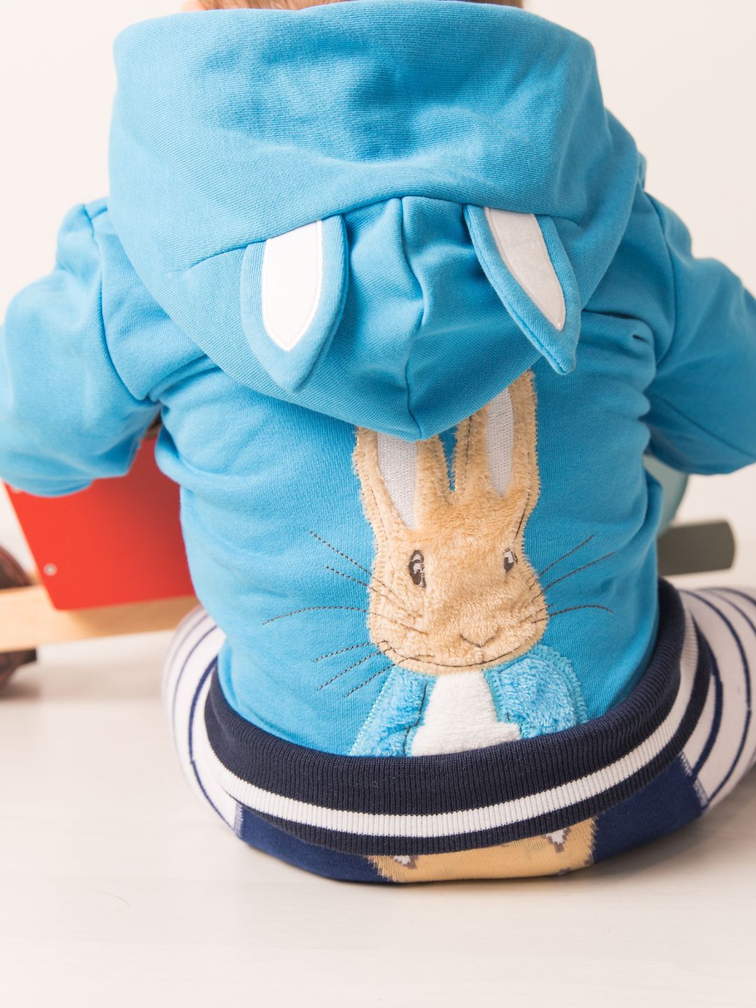 Peter Rabbit Blue Hoodie