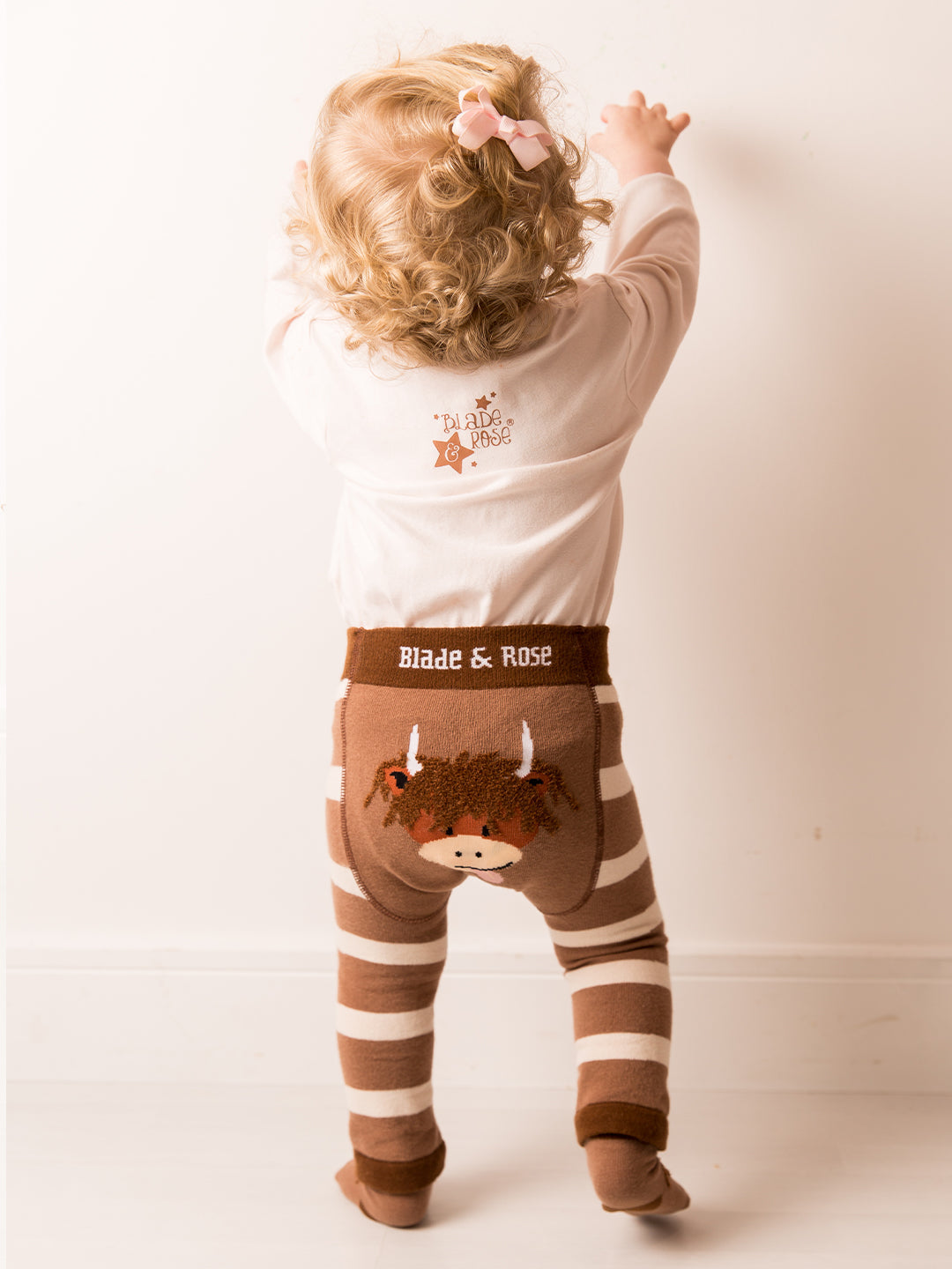 Neutral Highland Cow Gift Box Set