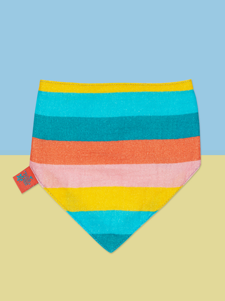 Baby Girl Bibs Gifting Set