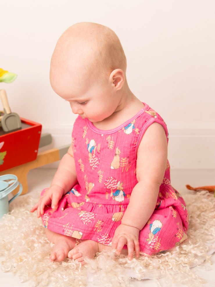 Peter Rabbit Springtime Summer Dress